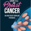 Diabetes and Breast Cancer: An Analysis of Signaling Pathways (PDF)