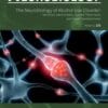 The neurobiology of Alcohol Use Disorder: Neuronal mechanisms, current treatments and novel developments (EPUB)