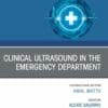 Clinical Ultrasound in the Emergency Department, An Issue of Emergency Medicine Clinics of North America (PDF)