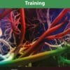 Blood Flow Restriction Training (PDF)