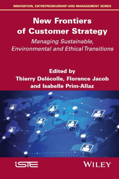 New Frontiers of Customer Strategy: Managing Sustainable, Environmental and Ethical Transitions (EPUB)