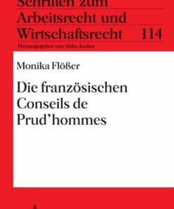 Die franzoesischen Conseils de Prud’hommes (PDF)