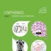 ESMO Lymphomas: Essentials for Clinicians, 3rd Edition (PDF)