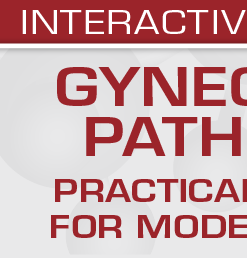 USCAP Gynecologic Pathology Practical Strategies for Modern Practice 2025