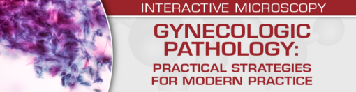 USCAP Gynecologic Pathology Practical Strategies for Modern Practice 2025