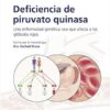 Fast Facts: Deficiencia de piruvato quinasa para pacientes y familiares: Una enfermedad genética rara que afecta a los glóbulos rojos Información + Asumir … = El mejor resultado (Spanish Edition) (EPUB)