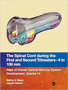 The Spinal Cord during the First and Early Second Trimesters 4- to 108-mm Crown-Rump Lengths: Atlas of Human Central Nervous System Development, Volume 14 (EPUB)