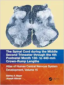 The Spinal Cord during the Middle Second Trimester through the 4th Postnatal Month 130- to 440-mm Crown-Rump Lengths: Atlas of Human Central Nervous System Development, Volume 15 (EPUB)