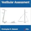 Rotational Vestibular Assessment (Core Clinical Concepts in Audiology) (EPUB)
