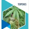 Terpenes (Medicinal Chemistry Lessons From Nature) (EPUB) Terpenes (Medicinal Chemistry Lessons From Nature) (EPUB)