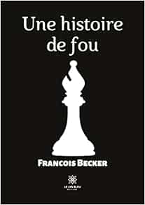 Une histoire de fou (French Edition) (EPUB)