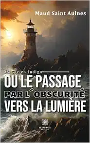 La vie en indigo ou le passage par l’obscurité vers la lumière (French Edition) (EPUB)