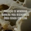 Produção de membrana barreira para Regeneração Óssea Guiada com zeína (Portuguese Edition) (EPUB)