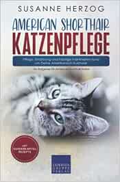 American Shorthair Katzenpflege – Pflege, Ernährung und häufige Krankheiten rund um Deine Amerikanisch Kurzhaar: Ein Ratgeber für American Shorthair Halter (PDF)