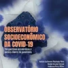 Observatório socioeconômico da Covid-19: Perspectivas econômicas e sociais diante da pandemia (Portuguese Edition) (EPUB)