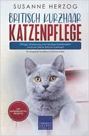 Britisch Kurzhaar Katzenpflege – Pflege, Ernährung und häufige Krankheiten rund um Deine Britisch Kurzhaar: Ein Ratgeber für Britisch Kurzhaar Halter (EPUB)