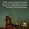 Técnicas cirúrgicas minimamente invasivas para artrodese interfalangeana proximal em equinos, uma comparação das propriedades biomecânicas entre dois procedimentos (Portuguese Edition) (EPUB)