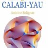 L’homme de Calabi-Yau (French Edition) (EPUB)