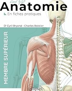 L’anatomie en fiches – Membre supérieur (PDF)