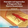 Principles and Approaches to Diagnostic Bone Marrow Examination (EPUB)