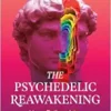 The Psychedelic Reawakening: How Psilocybin, MDMA, Ketamine, LSD, and DMT Are Changing Lives, 2nd Edition (EPUB)