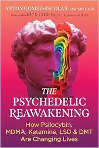 The Psychedelic Reawakening: How Psilocybin, MDMA, Ketamine, LSD, and DMT Are Changing Lives, 2nd Edition (EPUB)