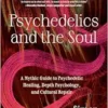 Psychedelics and the Soul: A Mythic Guide to Psychedelic Healing, Depth Psychology, and Cultural Repair (EPUB)