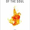 New Maladies of the Soul (European Perspectives: A Series in Social Thought and Cultural Criticism) (PDF)