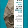 Your Stone Age Brain in the Screen Age: Coping with Digital Distraction and Sensory Overload (EPUB)