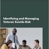 Identifying and Managing Veteran Suicide Risk: Proceedings of a Workshop (EPUB)