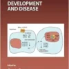 Retinoids in Development and Disease (Volume 161) (Current Topics in Developmental Biology, Volume 161) (PDF) Retinoids in Development and Disease (Volume 161) (Current Topics in Developmental Biology, Volume 161) (PDF)