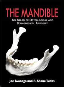 The Mandible: An Atlas of Osteological and Radiological Anatomy (PDF)