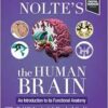 Nolte’s The Human Brain: An Introduction to its Functional Anatomy, 9th Edition (EPUB)