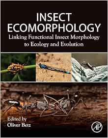 Insect Ecomorphology: Linking Functional Insect Morphology to Ecology and Evolution (PDF)
