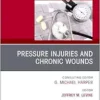 Pressure Injuries & Chronic Wounds, An Issue of Clinics in Geriatric Medicine (The Clinics: Internal Medicine, Volume 40-3) (True PDF )