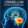 The Auditory Cerebellum: Function and Dysfunction (PDF )