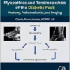 Myopathies and Tendinopathies of the Diabetic Foot: Anatomy, Pathomechanics, and Imaging (EPUB) Myopathies and Tendinopathies of the Diabetic Foot: Anatomy, Pathomechanics, and Imaging (EPUB)