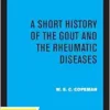 A Short History of the Gout and the Rheumatic Diseases (EPUB)