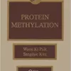 Protein Methylation (EPUB)