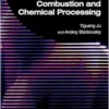 Plasma Assisted Combustion and Chemical Processing (PDF)