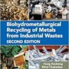 Biohydrometallurgical Recycling of Metals from Industrial Wastes, 2nd Edition (EPUB)