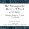 The Microgenetic Theory of Mind and Brain (PDF)