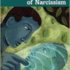 Psychoanalysis Through the
Lens of Narcissism (Evolutions in Psychoanalysis Book Series) (PDF)