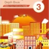Maths Progress Depth Book 3: 2nd Edition (PDF)