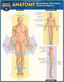 Anatomy – Directions, Planes, Movements & Regions: a QuickStudy Laminated Reference Guide (PDF)