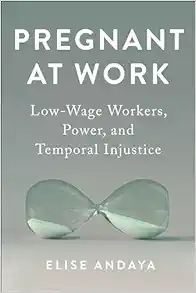 Pregnant at Work (Anthropologies of American Medicine: Culture, Power, and Practice) (EPUB)