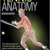 Tennis Anatomy (PDF)