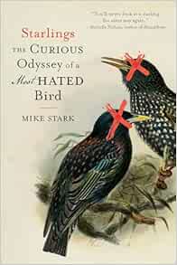 Starlings: The Curious Odyssey of a Most Hated Bird (EPUB)
