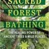 Sacred Forest Bathing: The Healing Power of Ancient Trees and Wild Places (EPUB)
