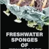 Freshwater Sponges of Tennessee (EPUB)